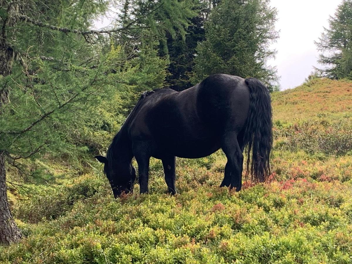 Katschi Lodge Katschberghöhe Eksteriør bilde